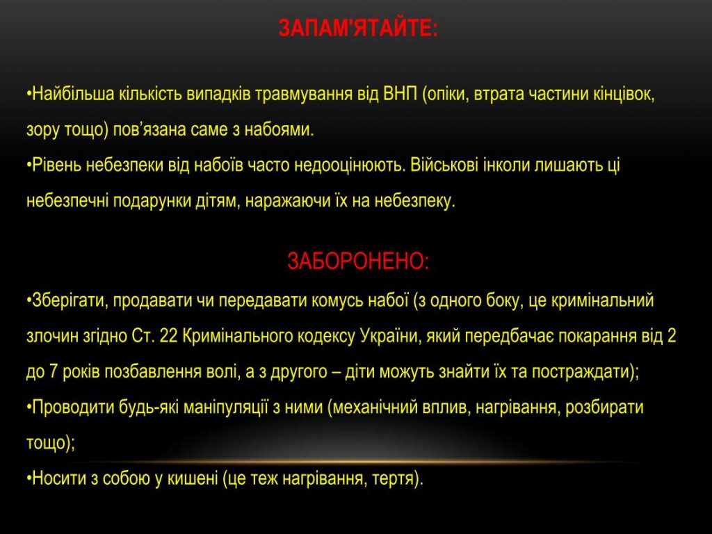 Презентація міни29